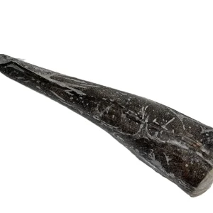 Pescada do Chile congelada para restauração