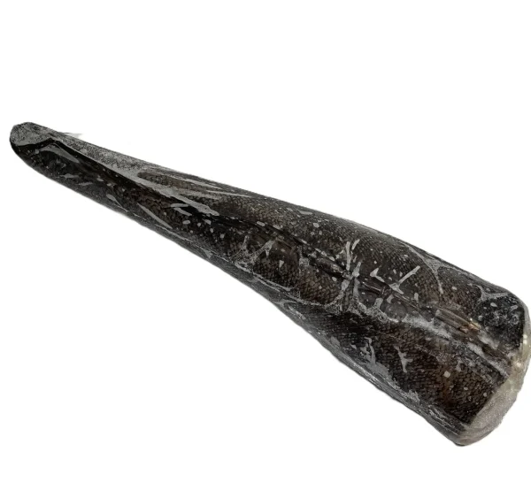 Pescada do Chile congelada para restauração