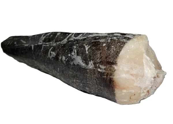 Pescada congelada premium