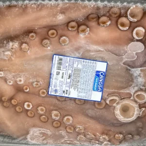 Polvo congelado de Marrocos para restauração