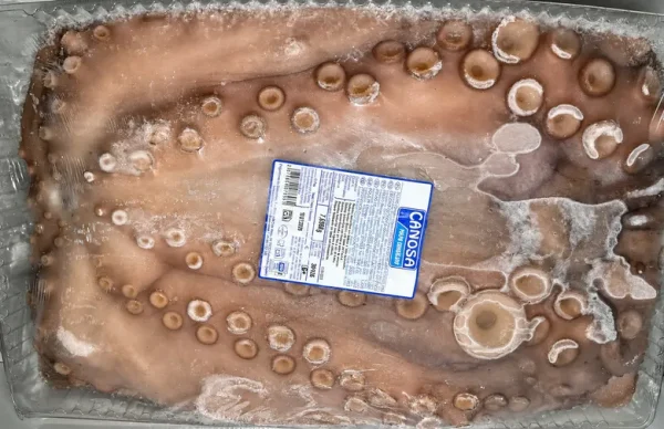 Polvo congelado de Marrocos para restauração